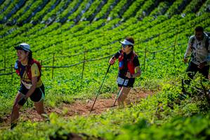 BIB: 
                            <button type="button" onclick="openModal(19162888)" class="btn btn-primary btn-sm float-right btn-popup" data-toggle="modal" data-target=".modal-high-quality">
                        <i class="fas fa-shopping-cart"></i> Add to Cart
                    </button>
                                            <button type="button" onclick="isThisMe(19162888, true)" class="btn btn-success btn-sm float-right btn-popup btn-isme hidden" data-toggle="tooltip" data-placement="bottom" title="นี่คือรูปของคุณใช่ไหม คลิกที่นี่เพื่อเอาเข้าอัลบั้ม">
                        <i class="fas fa-plus"></i> Add to album
                    </button>
                    <button type="button" onclick="isThisMe(19162888, false)" class="btn btn-warning btn-sm float-right btn-popup btn-isnotme hidden">
                        <i class="fas fa-ban"></i> Remove from album
                    </button>